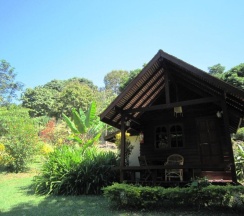 Бунгало Standard с балконом и с красивым видом из окна в Phanom Bencha Mountain Resort