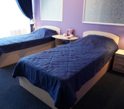 Двухместный номер с 2 отдельными кроватями в Макхолл