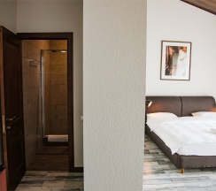 номер стандартный 209 в Панорама