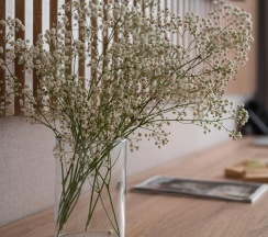 1-комнатные апартаменты люкс в Art Apart