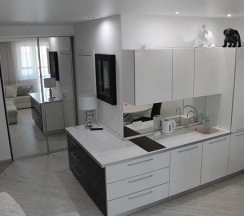 1-комнатные апартаменты люкс №34 в Столичный