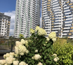 Квартира в Апартаменты на Ул. Лескова, д.25