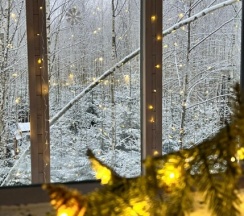 Дом на дереве для двоих с беседкой, мангалом и ванной с панорамным видом в Мы дома-Зеркальный лес