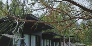 Чемал: Турбаза Домики Алтая