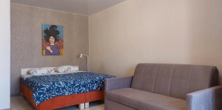 Петрозаводск: Апартаменты Olivinn на улице Анохина 26