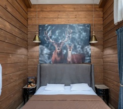 Коттедж Шале в Видная усадьба