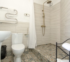 Стандартный без балкона в Серый гусь