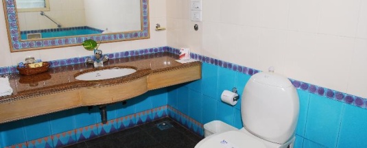 Одноместный номер Deluxe в Coconut Grove Beach Resort