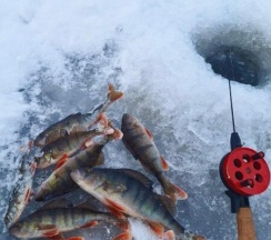 Гостевой дом "Онни" 2+2 в Onne