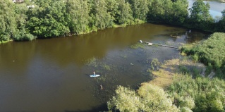Морозово: Апартаменты Skandi белка