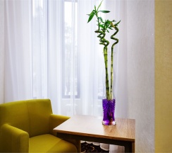 Комфорт в City&business hotel