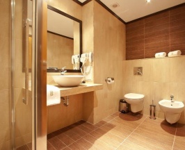 Двухместный номер Comfort 2 отдельные кровати в Best Western Plus Bristol Hotel
