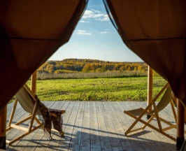 Шатер в Дом Ларди