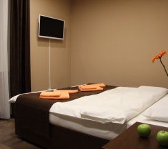 Двухместный номер с 1 кроватью или 2 отдельными кроватями в Белый тополь