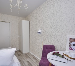 Бюджетный номер с раскладывающийся кроватью в Наше радушие