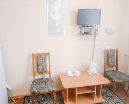 Стандартный двухместный номер в Smart Hotel KDO Барнаул