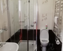 Двухместный, стандарт плюс в Rest Exclusive