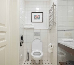 Супериор Классик в Rodina Grand Hotel&SPA Irkutsk 5*