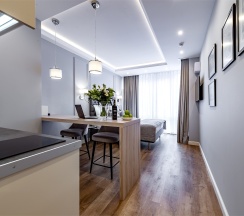 Супериор апартаменты в Dionis Art Apartments