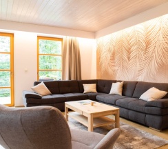 Двухместный полулюкс 2 отдельные кровати в Amenity Resort Spindleruv Mlyn