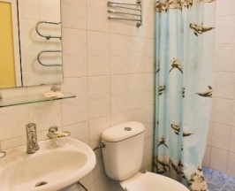  4-х местный мансарда в Русь