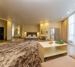 Арт - Люкс 214 в Капитан