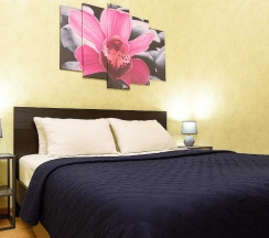 ▶ Euro Apartment 23 ★ По Адресу: Тюменский Тракт 8★ (СЕВЕРНЫЙ Р-ОН/ ТЦ АУРА) в Lion