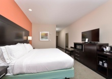 Двухместный номер Standard двуспальная кровать в Holiday Inn Express & Suites Austin South, an IHG Hotel