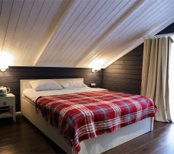 Семейный номер с кроватью King Size в Vyritsa Village