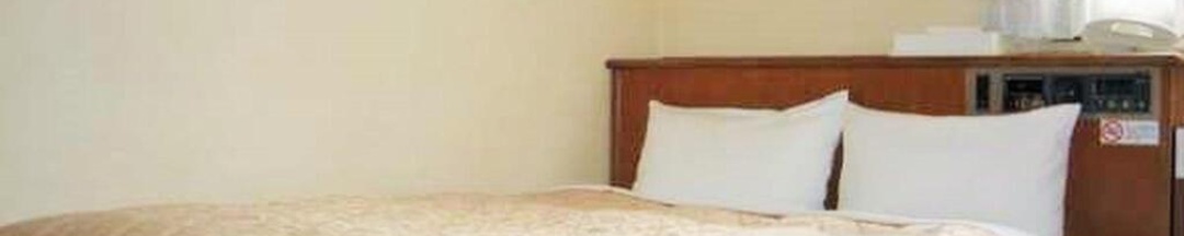 Двухместный номер Standard двуспальная кровать в Nishi Shinjuku Green Hotel