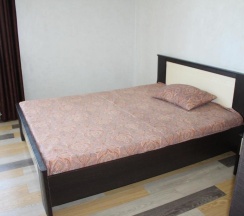 Номер стандарт с 1 двуспальной кроватью в Парк отдых