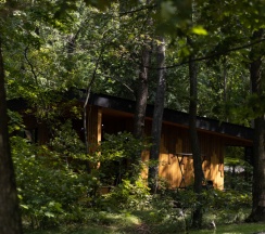 апартаменты с 1 спальней в Кривоборье