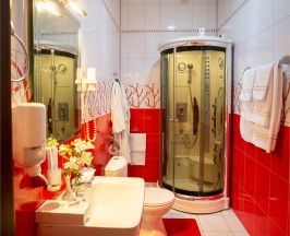 Люкс (LUXE, 302) в Велнесс