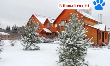 Двухместный номер эконом-класса с двумя раздельными кроватями. Проживание с животными. в Караван