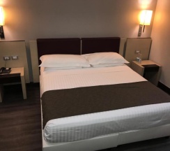 Двухместный номер Deluxe двуспальная кровать в Hotel Leonardo Da Vinci