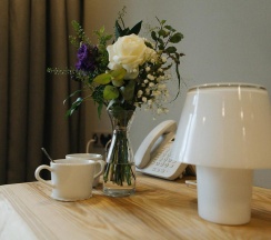 Standard Eco в Welna Eco Spa Resort