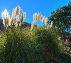 Квартира в Goodwill