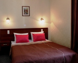 Двухместный номер Standard двуспальная кровать в АлександерПлатц