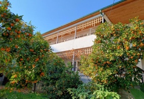 Гостевой дом Inzhir Guest house в Новом Афоне