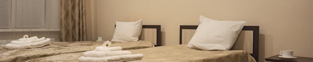 Улучшенный двухместный номер (с двумя раздельными кроватями ) в Spa-hotel Plaza