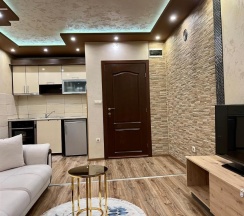 Апартаменты Deluxe в Hotel Silver