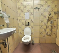 3 местный номер в Свирская