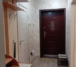 Однокомнатная квартира на Чубынина, 24 в Loft