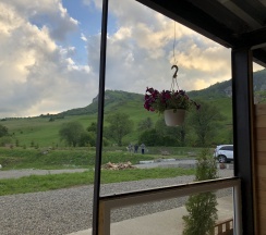 Двухместный номер в Золотая рыбка