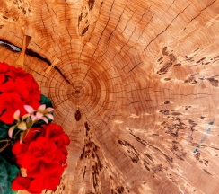 КОМФОРТ ПЛЮС ДОМ №1 в Лесная заимка