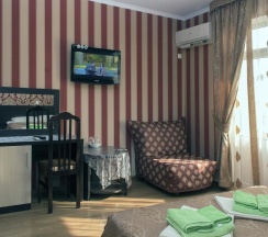 Двухместный номер Standard с балконом 2 отдельные кровати в Аист