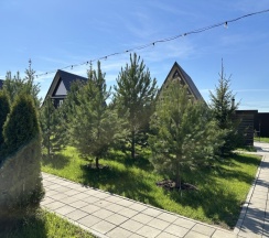 A-Frame №3 (оснащение дома, стоимость банного чана и бани см. Подробнее) в Dacha