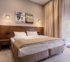 Двухместный номер «ДЕЛЮКС» с одной кроватью в Riverside Hotel