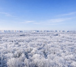 Люкс Superior в Квартира Moskovskiy Eco Room