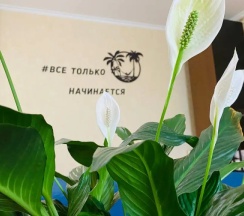 Апартаменты в Арт Берег